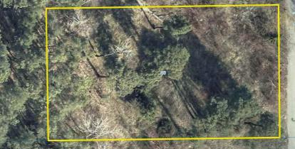 Zdjęcie terenu robione z góry z dużej odległości. Żółtą linią w kształcie prostokąta wyznaczony jest teren działki Na działce rośną wysokie drzewa.