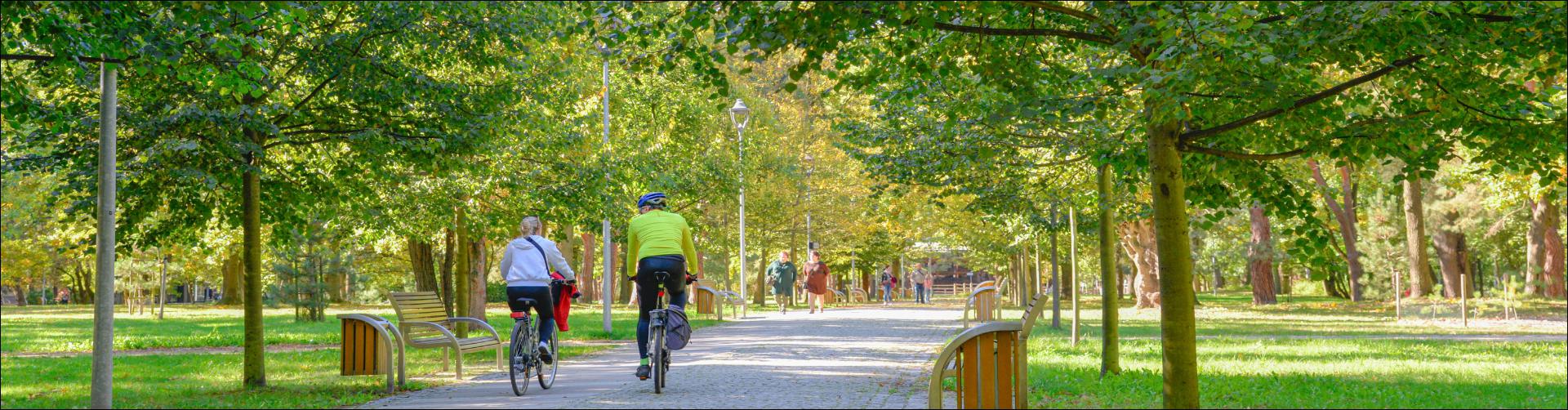 Główna aleja spacerowa w Parku Zdrojowym. Po deptaku z kostki brukowej dwie osoby jadą na rowerach – kobieta i mężczyzna. W tle deptakiem idą ludzie. Po obu stronach ścieżki rosną wysokie drzewa. Zdjęcie zrobione w jesienny dzień.