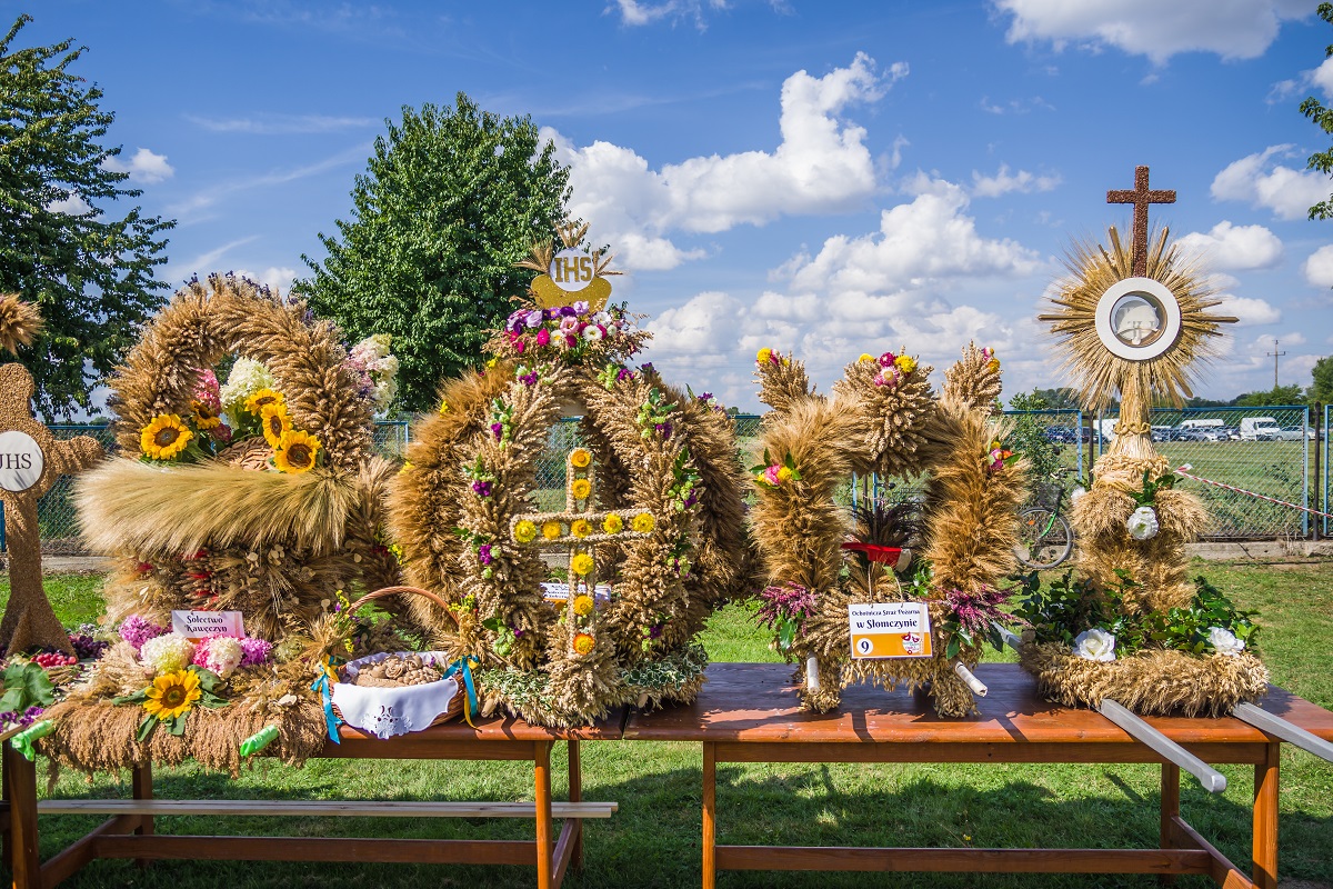Fotogaleria zdjęć z dożynek gminnych w Opaczy