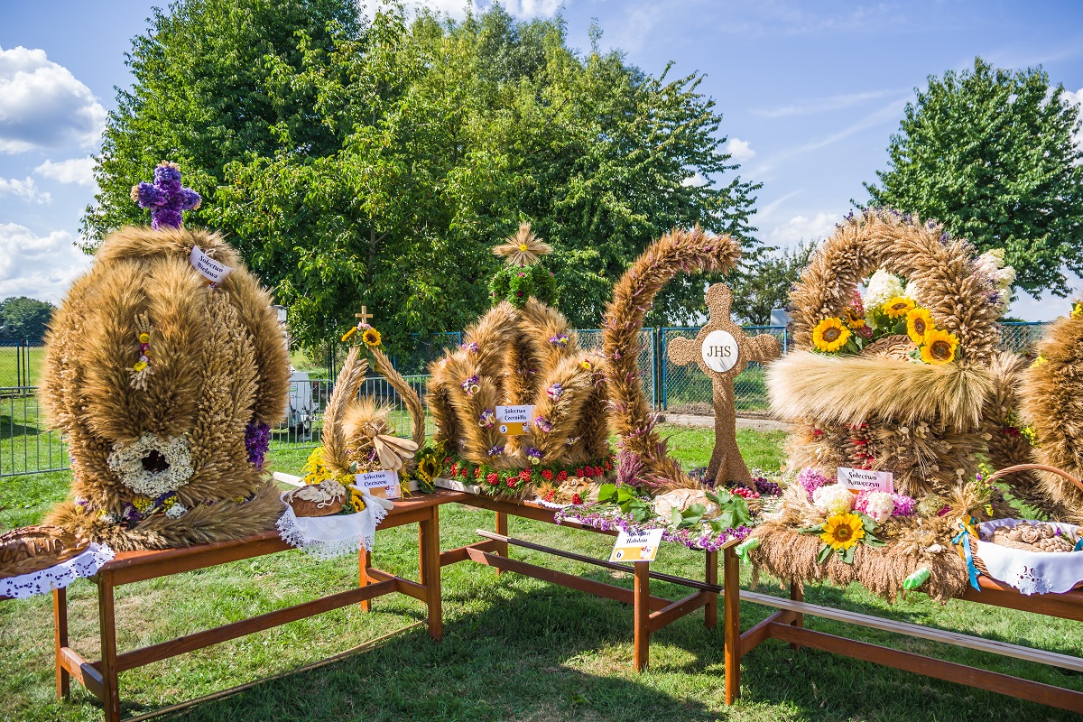 Fotogaleria zdjęć z dożynek gminnych w Opaczy