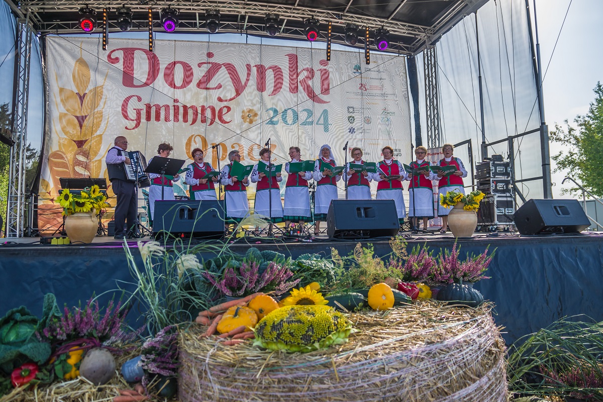 kobiety w strojach ludowych na scenie i mężczyzna grający na akordeonie