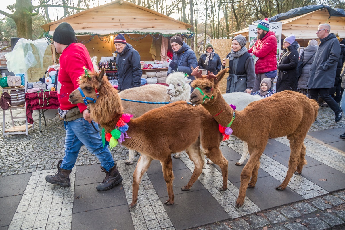 Zdjęcia z jarmarku świątecznego w Konstancinie-Jeziornie.