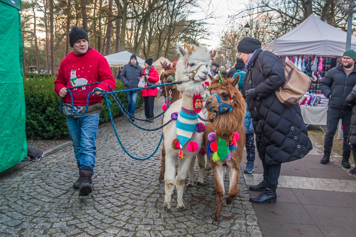 Zdjęcia z jarmarku świątecznego w Konstancinie-Jeziornie.