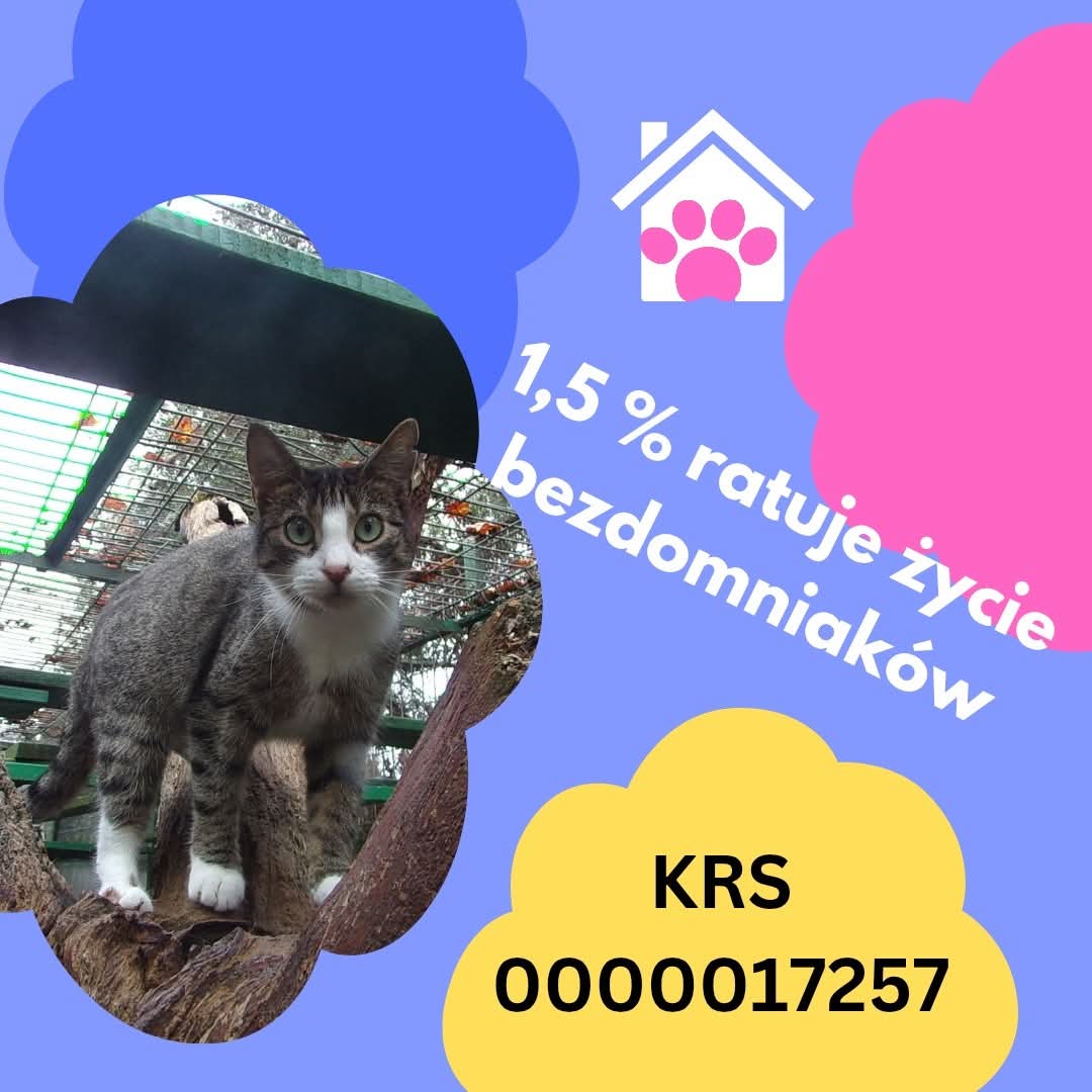 Przekaż 1.5% na fundacje 2026