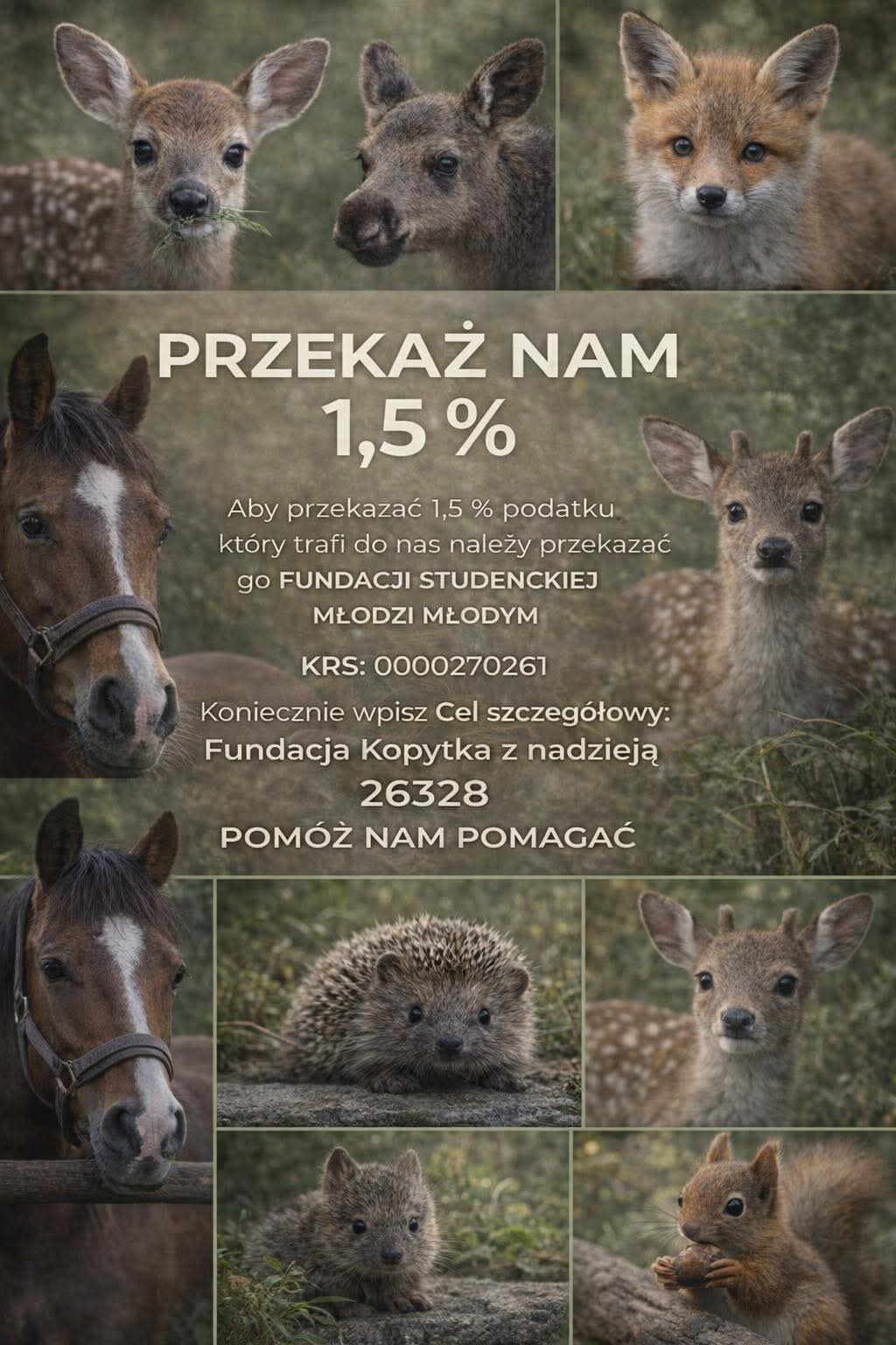 Przekaż 1.5% na fundacje 2026