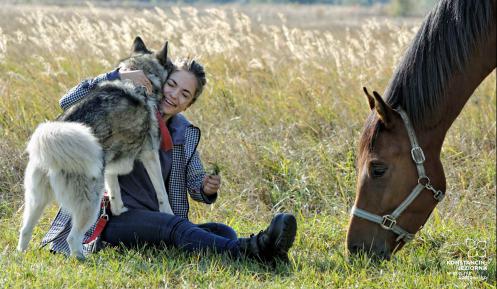 Kobieta siedzi na trawie, przytula dużego psa, z prawej strony łeb konia skubiącego obok trawę