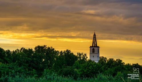 Wzniesiona ponad lasem wieża kościoła. W tle niebo w ciepłych barwach, tuż po zachodzie słońca. 