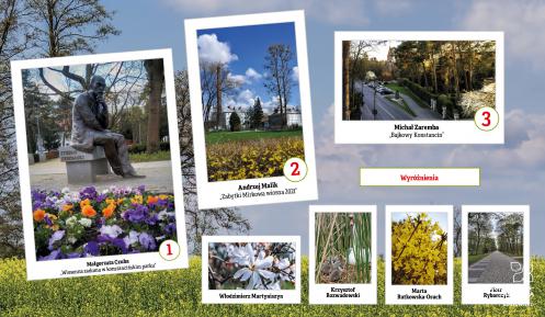 Kolaż zdjęć przesłanych przez uczestników konkursu fotograficznego. Opisy poszczególnych fotografii znajdują się w galerii zdjęć zamieszczonej poniżej.