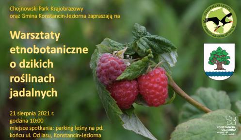 Plakat informujący o spacerze etnobotanicznym. Zdjęcie krzewu malin, na tle którego znajdują się szczegółowe informację dotyczące wydarzenia, których treść znajduje się również w artykule. 