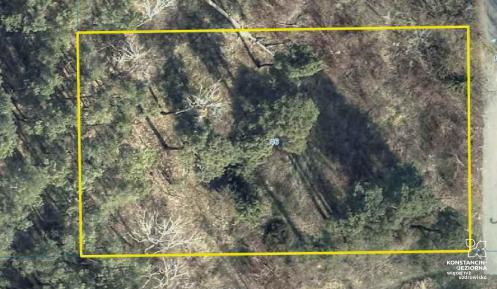 Zdjęcie terenu robione z góry z dużej odległości. Żółtą linią w kształcie prostokąta wyznaczony jest teren działki Na działce rośną wysokie drzewa.