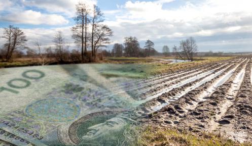 Fotomontaż – zdjęcie zaoranego pola, na którym leżą duże 100 zł banknoty.