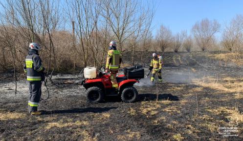 Trzech strażaków ubranych w stroje bojowe dogasza pożar traw i łąk. 
