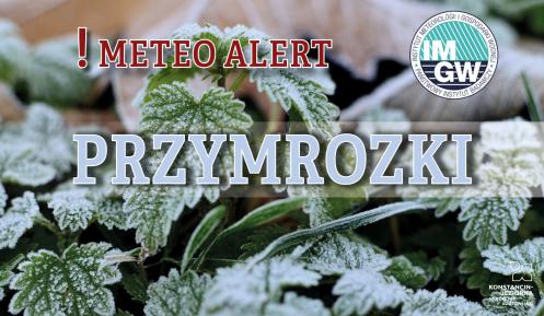 Na górze czerwony napis meteo alert poprzedzony wykrzyknikiem. Obok niego logo Instytutu Meteorologii i Gospodarki Wodnej - niebieski okrąg z białymi literami IMGW, poniżej błękitny napis burze. W tle fragment oszronionych liści.