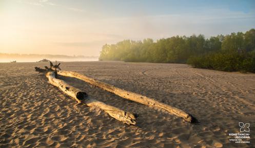 Plaża. Dużo jasnego piasku, na środku leży duża wyschnięta gałąź. W tle widać wodę i zachodzące słońce. 