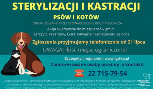 Rudy średniej wielkości pies, leży obok czarno-białego kota. 