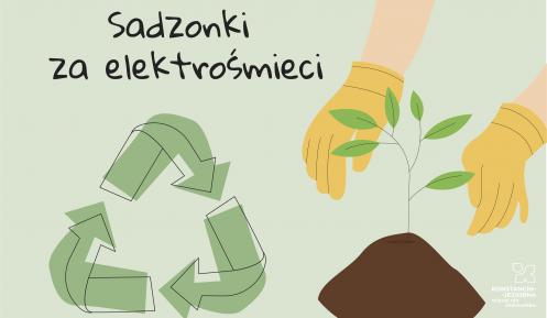 Grafika wektorowa. Znak recyklingu i dłonie z sadzonką drzewa.