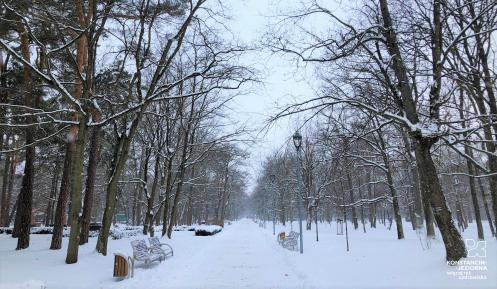 Park: drzewa bez liści i śnieg. Pochmurne niebo.