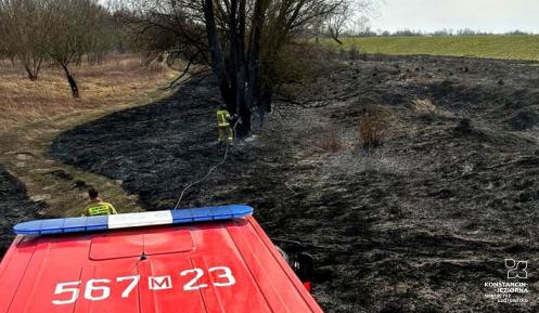 Dwóch strażaków ubranych w stroje bojowe dogasza pożar traw i łąk.