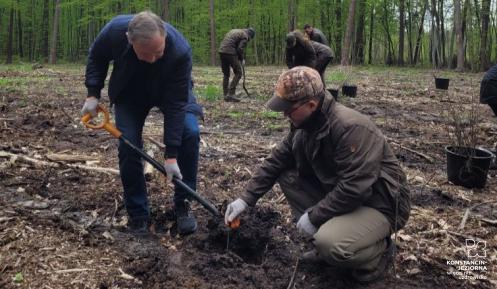 Dwóch mężczyzn, jeden pochylony z łopata, drugi kuca i trzyma sadzonkę drzewka. Za nimi inni ludzie oraz  drzewa.