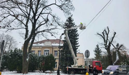 Duża choinka, na której mężczyźnie zawieszają lampki.