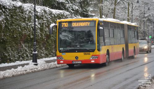 Ośnieżony autobus jedzie ulicą, w tle drzewa i krzewy.