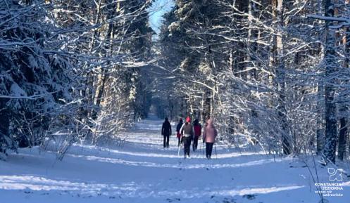 Postacie widziane z oddali. Grupa osób bioraca udział w zajęciach nordic walking. Panuje zima.