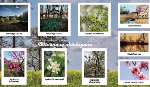 Grafika, kolaż zdjęć wiosennych. 