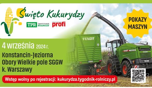 Plakat Święto Kukurydzy