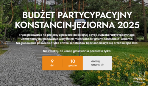 Grafika budżet