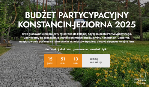 Grafika budżet
