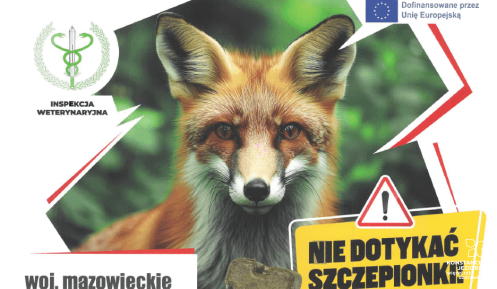 szczepienie przeciwko wściekliźnie