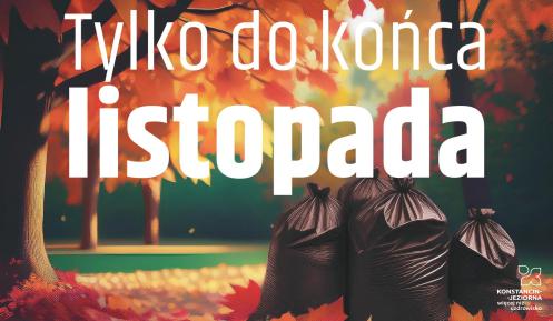 Grafika liście