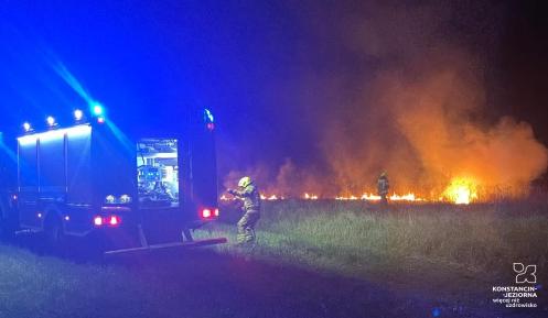 Jeden strażak ubrany w strój bojowy dogasza pożar traw i łąk. 
