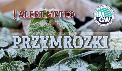 Na górze czerwony napis meteo alert poprzedzony wykrzyknikiem. Obok niego logo Instytutu Meteorologii i Gospodarki Wodnej - niebieski okrąg z białymi literami IMGW, poniżej błękitny napis burze. W tle fragment oszronionych liści.