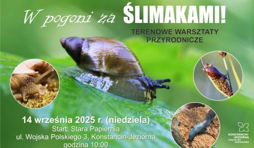 Plakat W pogoni za ślimakami, w tle ślimak na liściu.