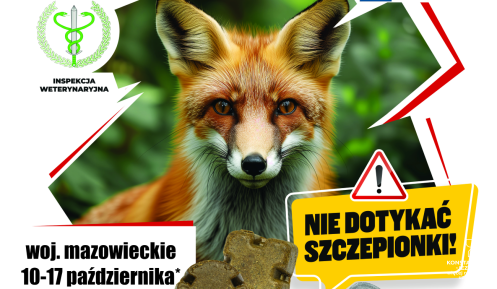 plakat przedstawiający dorosłego lisa, informujący o szczepieniach 