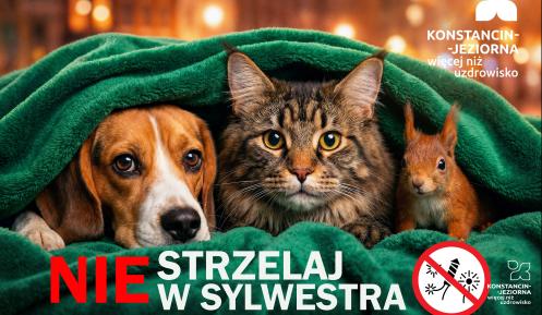 Na grafice widać psa, kota i wiewiórkę skulone pod zielonym kocem, z hasłem „Nie strzelaj w Sylwestra”, które apeluje o rezygnację z fajerwerków ze względu na dobro zwierząt.
