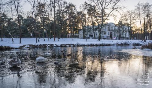 Zimowy widok stawu w Parku Zdrojowym z pływającymi łabędziami i kaczkami, otoczonego ośnieżonymi drzewami i zabudowaniami uzdrowiskowymi w tle.