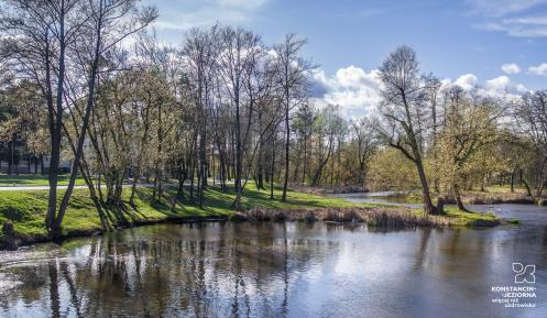 drzewa i rzeka w parku