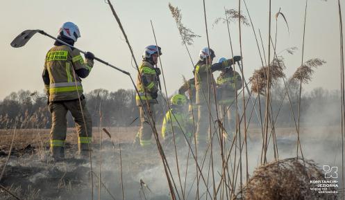 Pięciu strażaków z Ochotniczej Straży Pożarnej w pełnym umundurowaniu bojowym i hełmach pracuje na zadymionym polu wśród suchych traw i trzcin. Jeden ze strażaków trzyma tłumicę służącą do gaszenia pożarów roślinności.