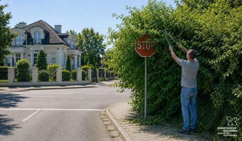 Mężczyzna przycina krzew zasłaniający znak STOP