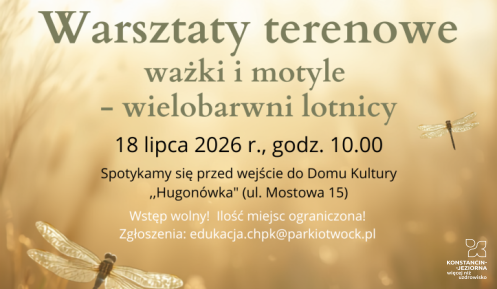Grafika motyle