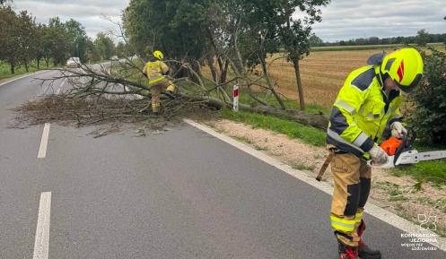 Dwóch strażaków usuwa powalone drzewo blokujące drogę. Jeden z nich przygotowuje pilarkę, a drugi stoi przy konarach leżących na jezdni