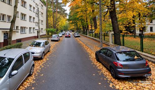 Jesienna, zadrzewiona ulica z zabudową mieszkaniową, chodnikami, latarniami i zaparkowanymi samochodami.