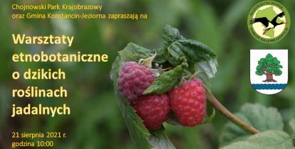 Plakat informujący o spacerze etnobotanicznym. Zdjęcie krzewu malin, na tle którego znajdują się szczegółowe informację dotyczące wydarzenia, których treść znajduje się również w artykule. 