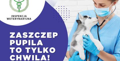 Plakat. Po lewej stronie duży napis Zaszczep pupila to tylko chwila. Po prawej stronie młoda kobieta ubrana w fartuch medyczny, trzyma psa na rękach, na szyi ma stetoskop. Poniżej napisy związane z treścią artykułu.