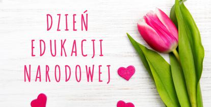 Na białym tle różowy tulipan i tekst: Dzień Edukacji Narodowej.