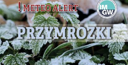 Na górze czerwony napis meteo alert poprzedzony wykrzyknikiem. Obok niego logo Instytutu Meteorologii i Gospodarki Wodnej - niebieski okrąg z białymi literami IMGW, poniżej błękitny napis burze. W tle fragment oszronionych liści.