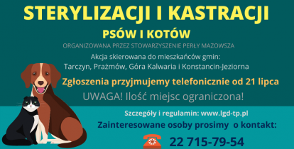 Rudy średniej wielkości pies, leży obok czarno-białego kota. 