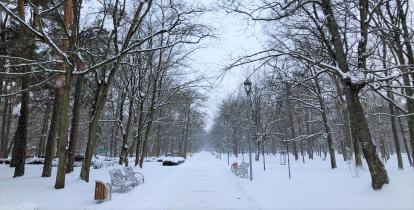 Park: drzewa bez liści i śnieg. Pochmurne niebo.